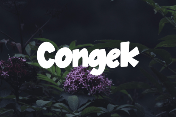 Congek: A Versatile Display Font for Creative Projects