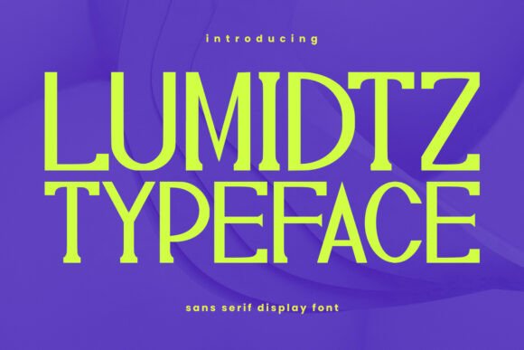 Lumidtz: A Modern Display Font for Campaign Visuals