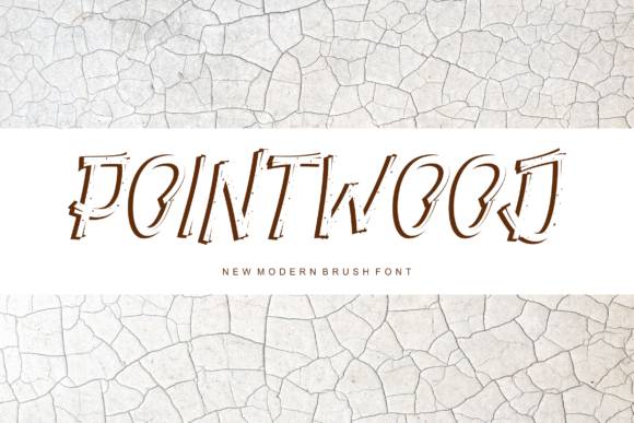 Pointwood Display Font for Bold Campaign Visuals