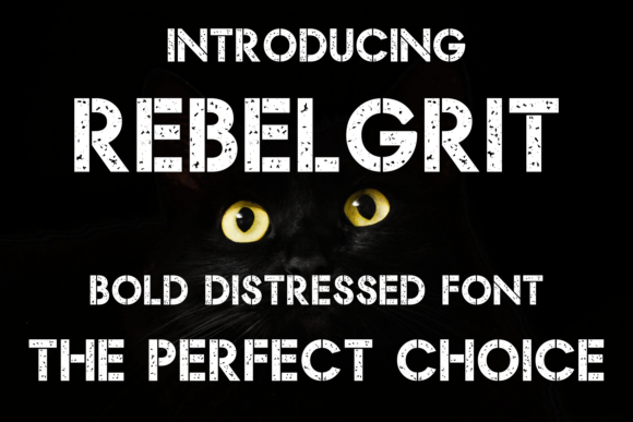 Rebel Grit Review: A Distressed Display Font Built for Bold Branding